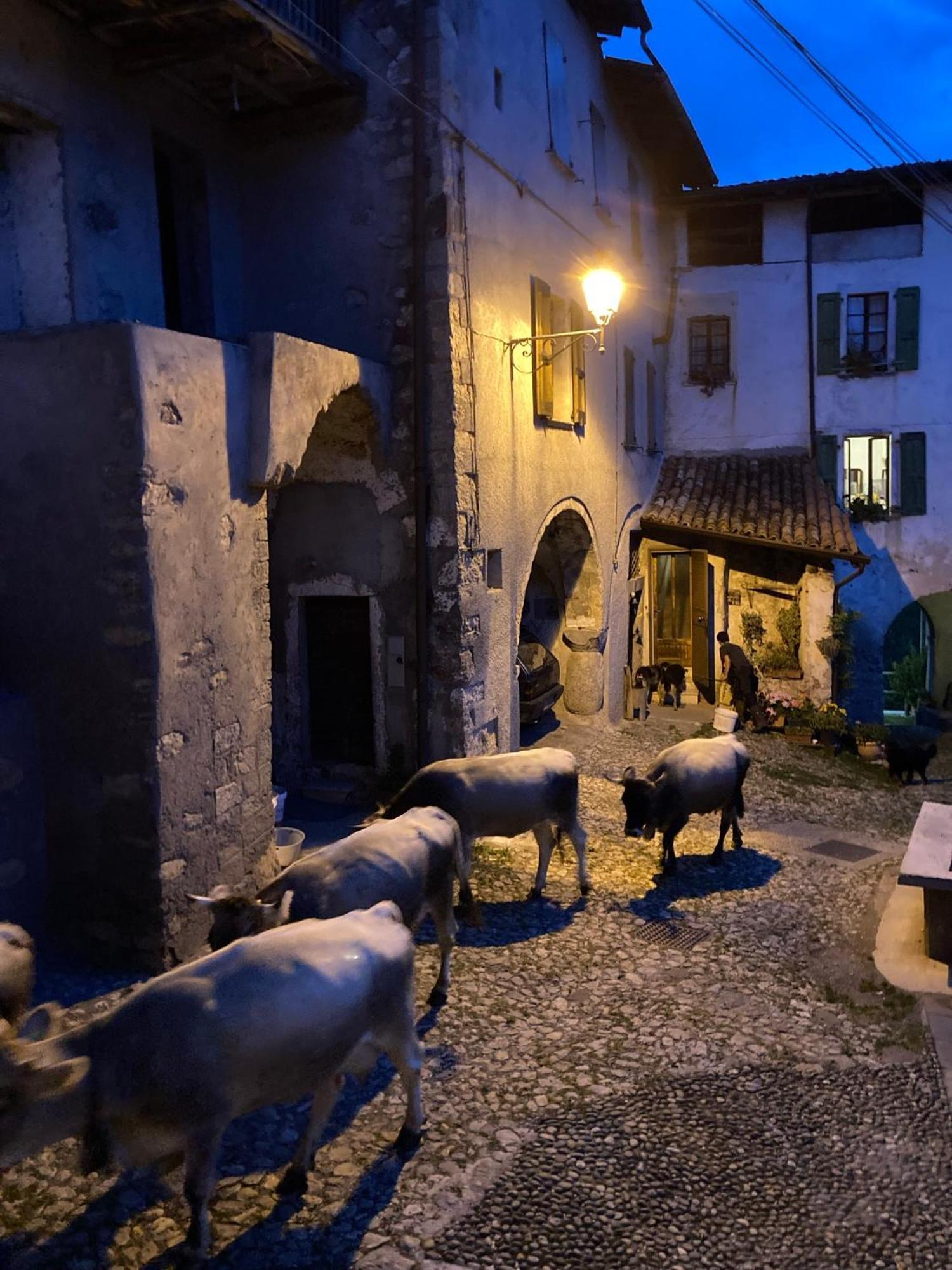 Bed and Breakfast A Casa Di Gianni E Mari Vestone Exterior foto