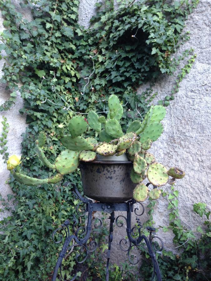 Bed and Breakfast A Casa Di Gianni E Mari Vestone Exterior foto